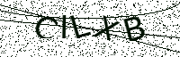 L’image captcha