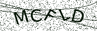 L’image captcha
