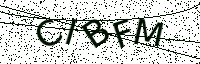 L’image captcha